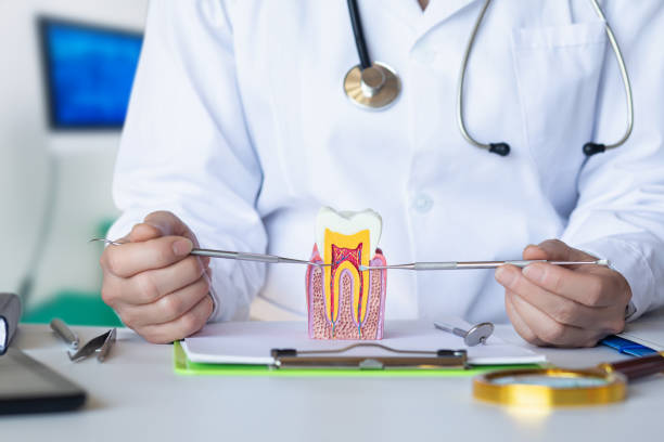 Best Dentist for Tooth Abscess  in Wellston, MO